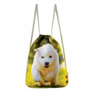 Σακίδιο πλάτης | BG3019-2