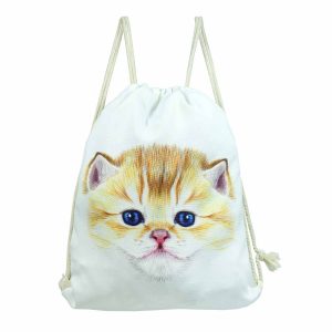 Σακίδιο πλάτης | BG3023